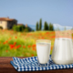 Ein Milchglas und ein Milchkrug, im Hintergrund die Toskana